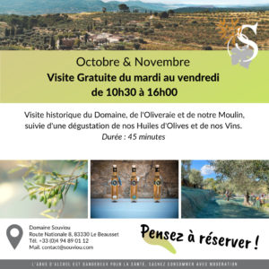 Visit of the olive grove and the mill