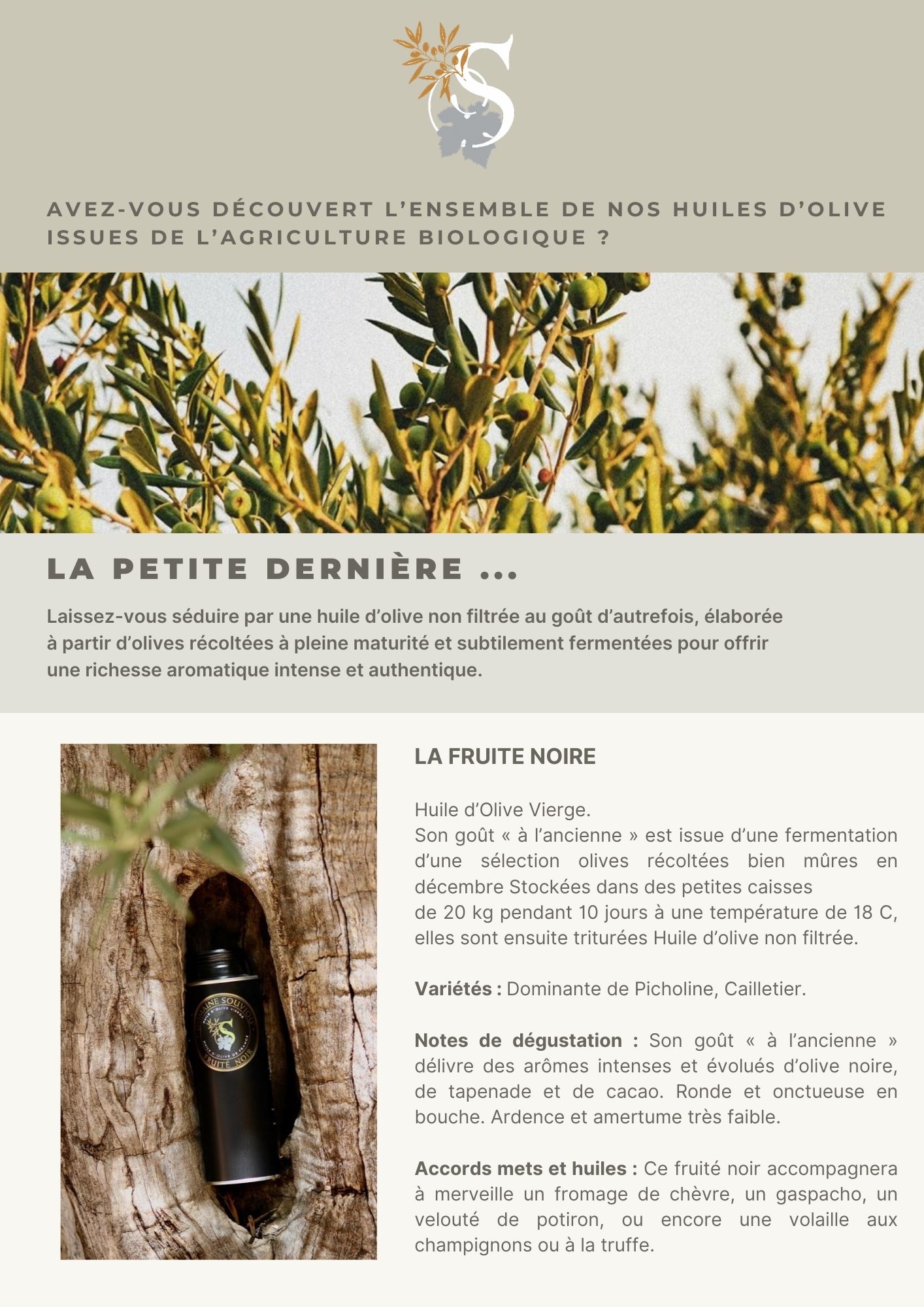 Lire la suite à propos de l’article Nos huiles d&rsquo;olives !